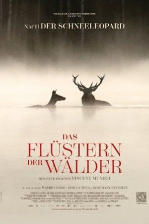 Wunschfilm<br>Das Flüstern der Wälder<br><span style="font-size:15px;">Kino Freitag 10.07.2026 17.30 Uhr</span>